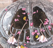 Meditation Workshop
